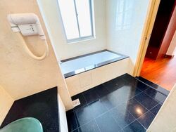 Cairnhill Crest (D9), Condominium #555163721